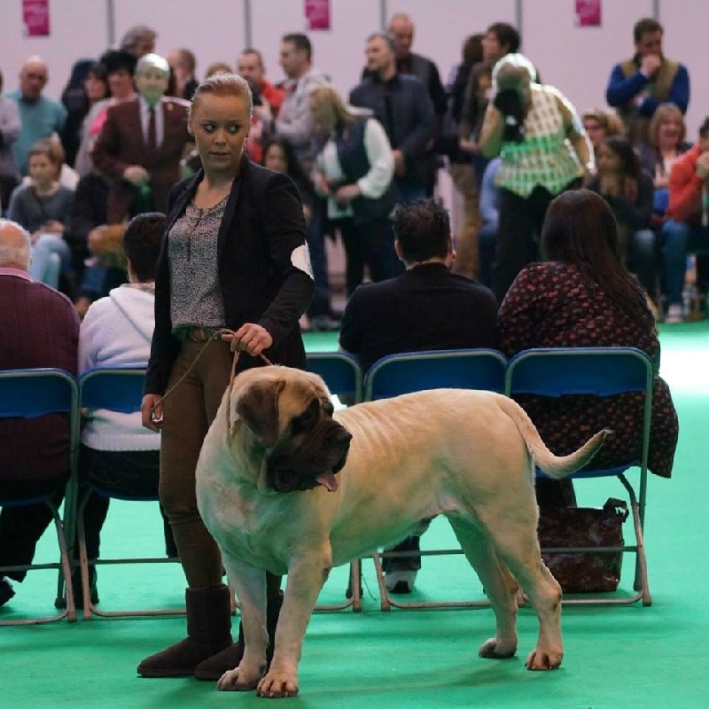 CH. Lazzaro de domaine de Straz