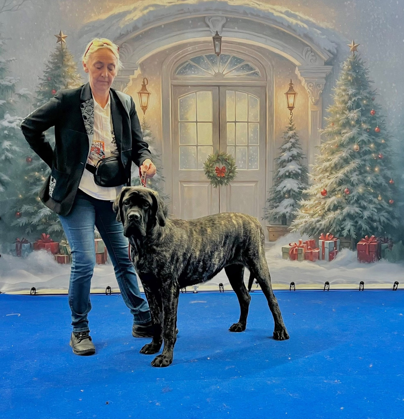 Anna Rose Des Terres De Beaulieu